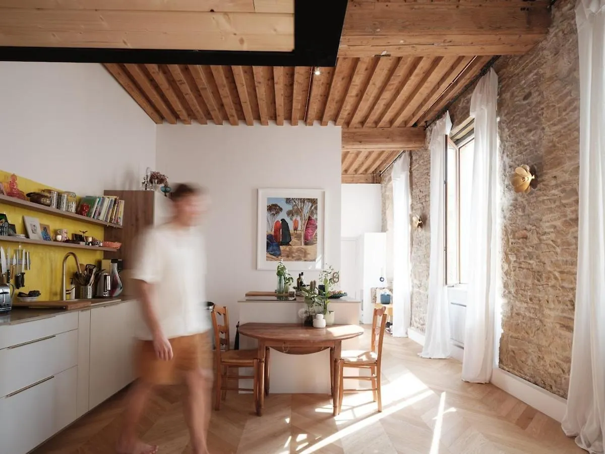 Le Canut Lyon Apartment
